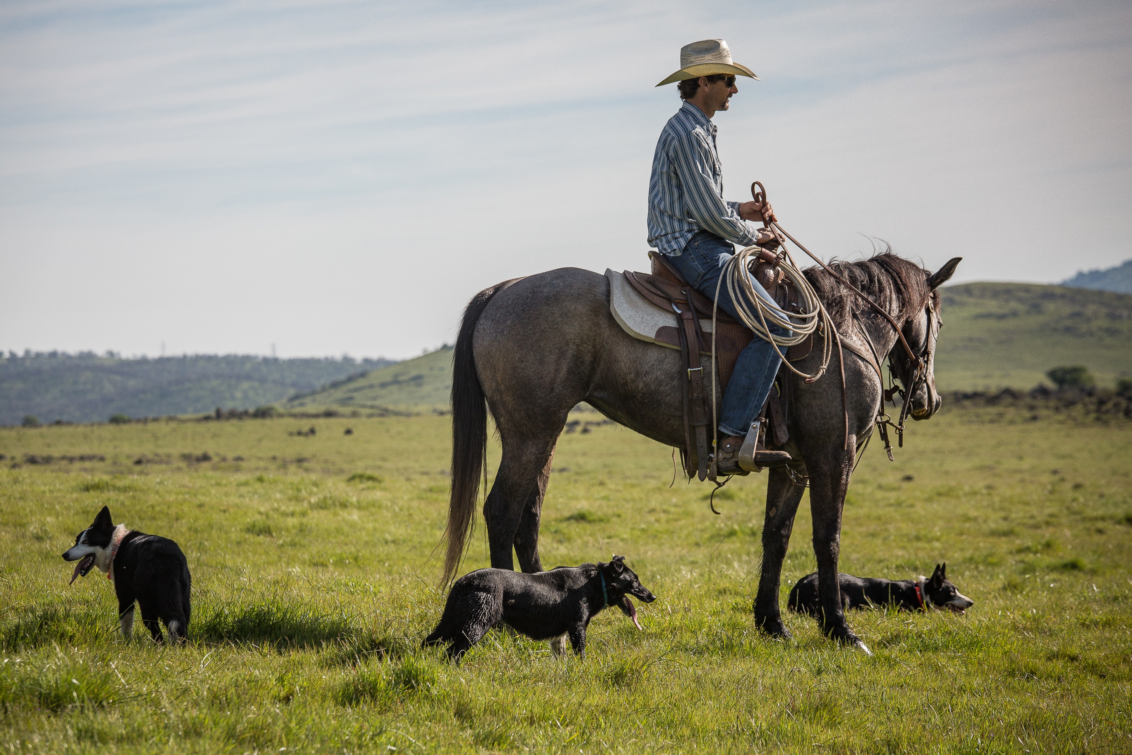 All Sides Covered | Stanislaus County, CA | Ranch Hands/Working Ranch