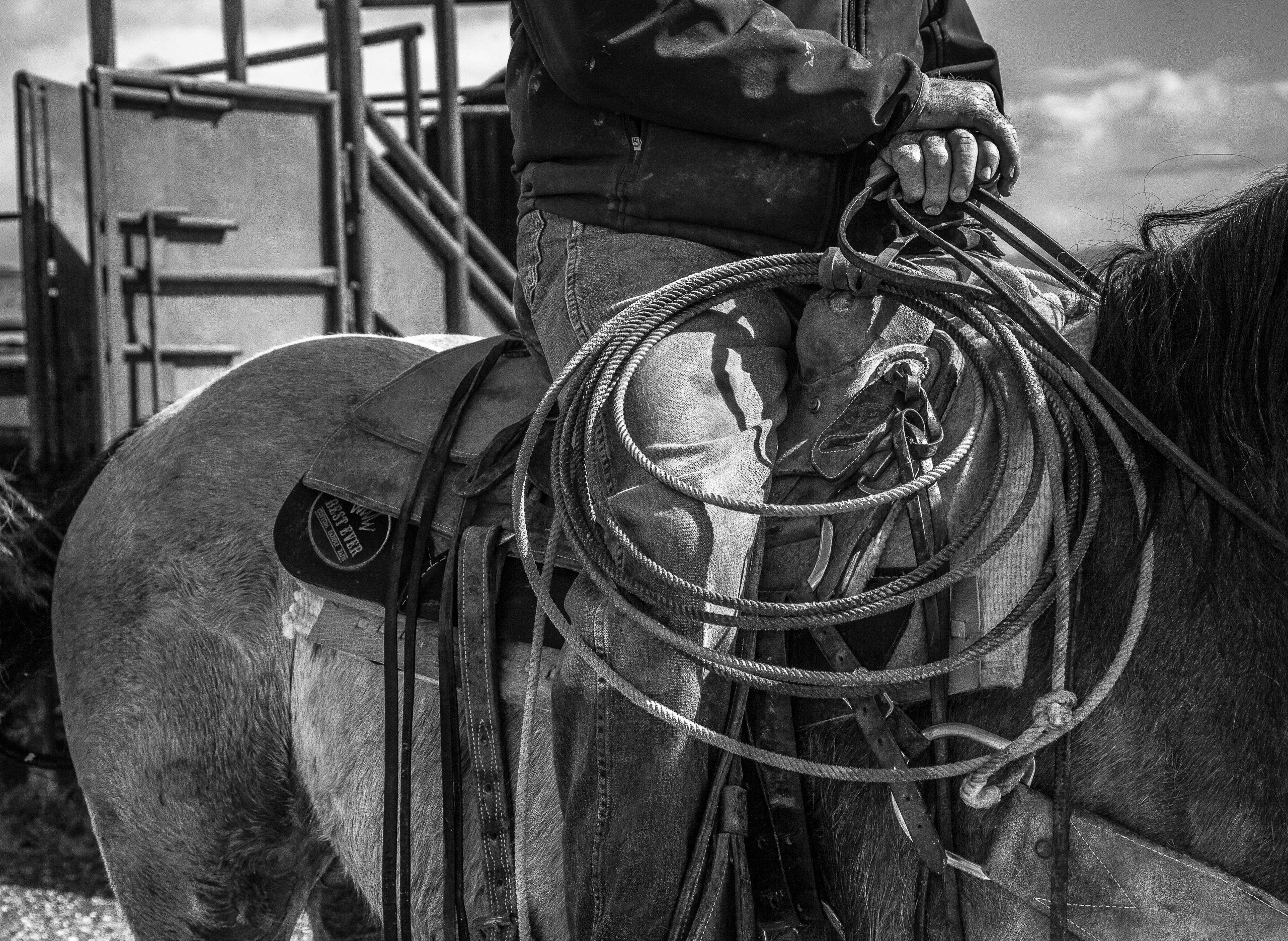 Ranch Hands | Stanislaus County, CA | Ranch Hands/Working Ranch