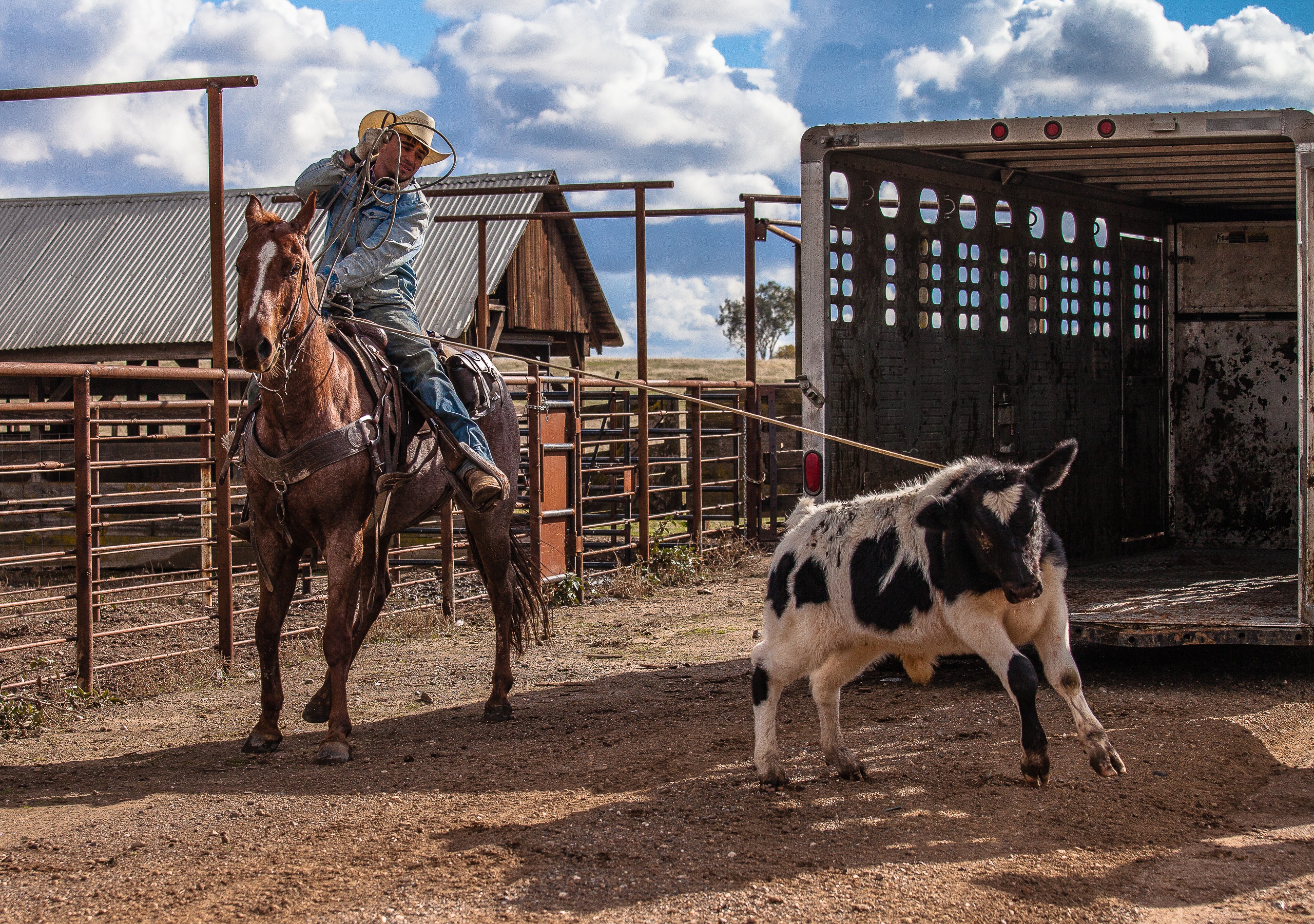 Second Try | Stanislaus County, CA | Ranch Hands/Working Ranch