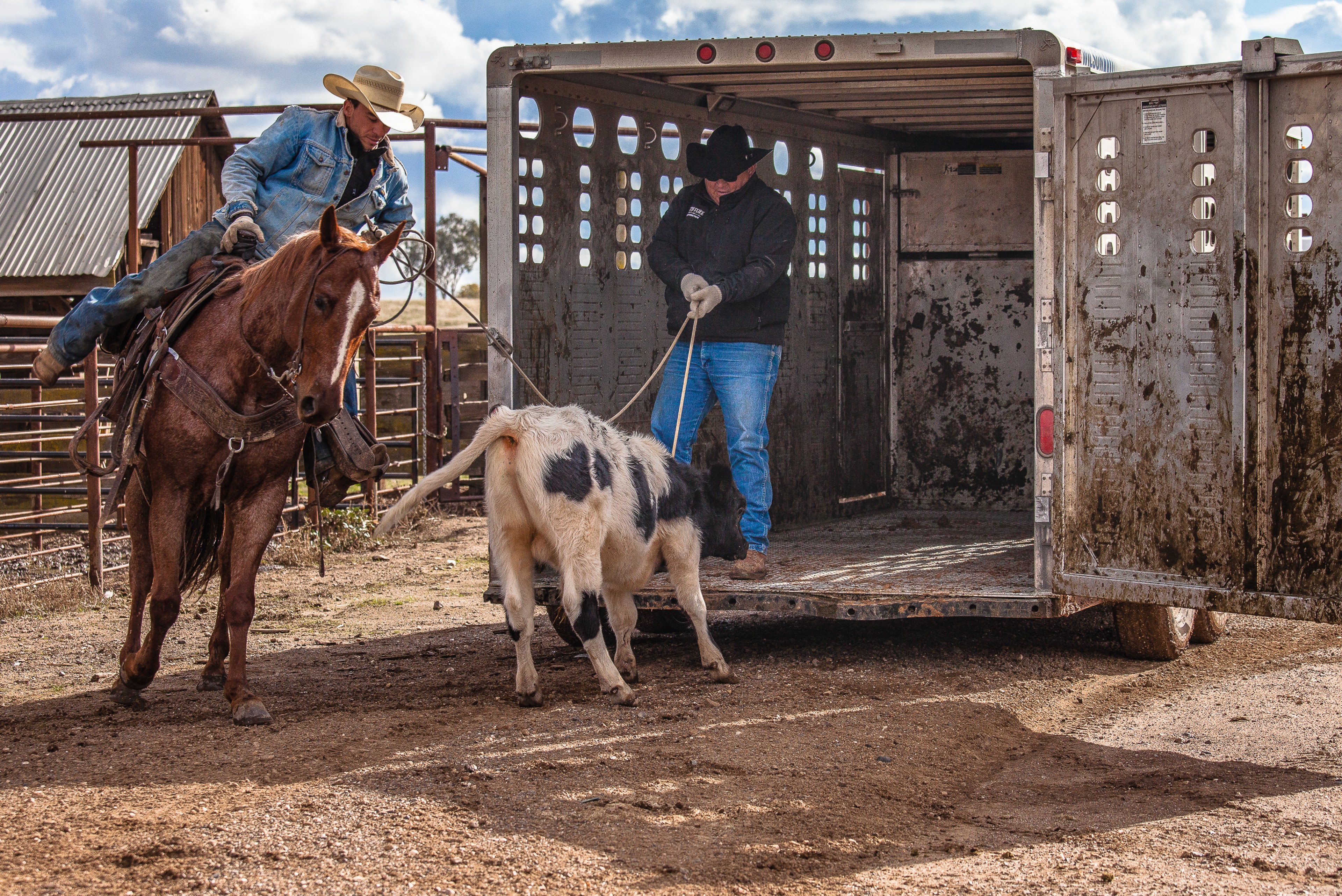 Two Hands Together | Stanislaus County, CA | Ranch Hands/Working Ranch