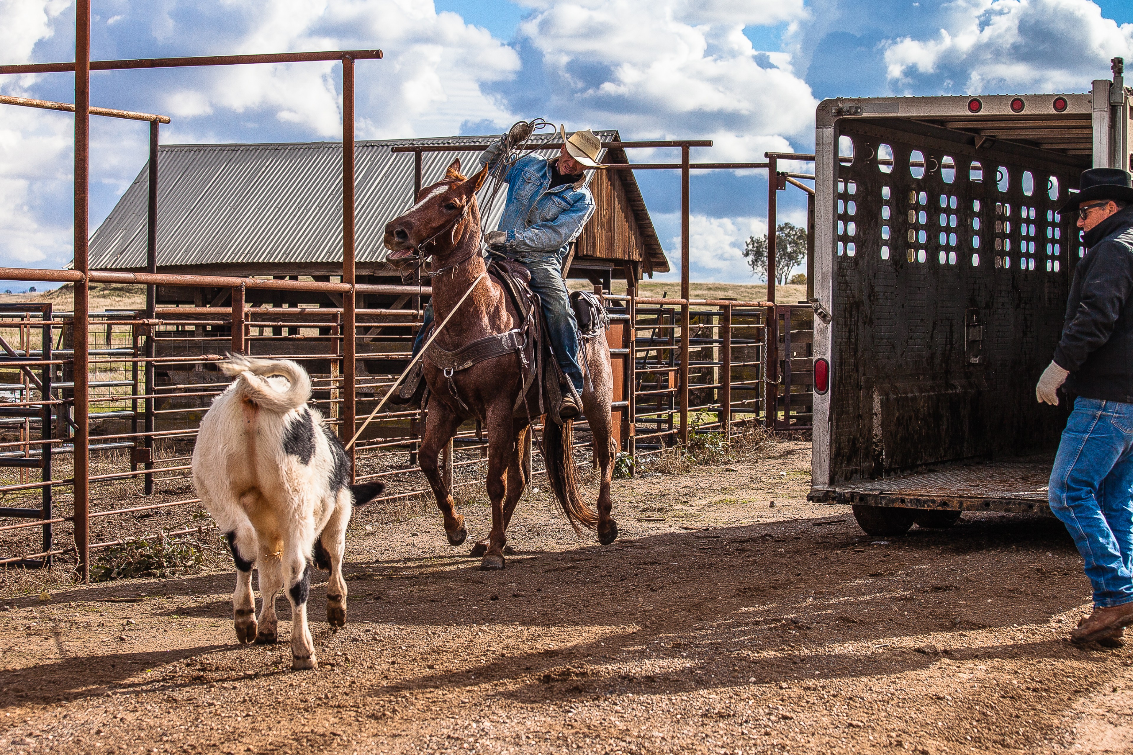 You Ain't Goin' Anywhere | Stanislaus County, CA | Ranch Hands/Working Ranch