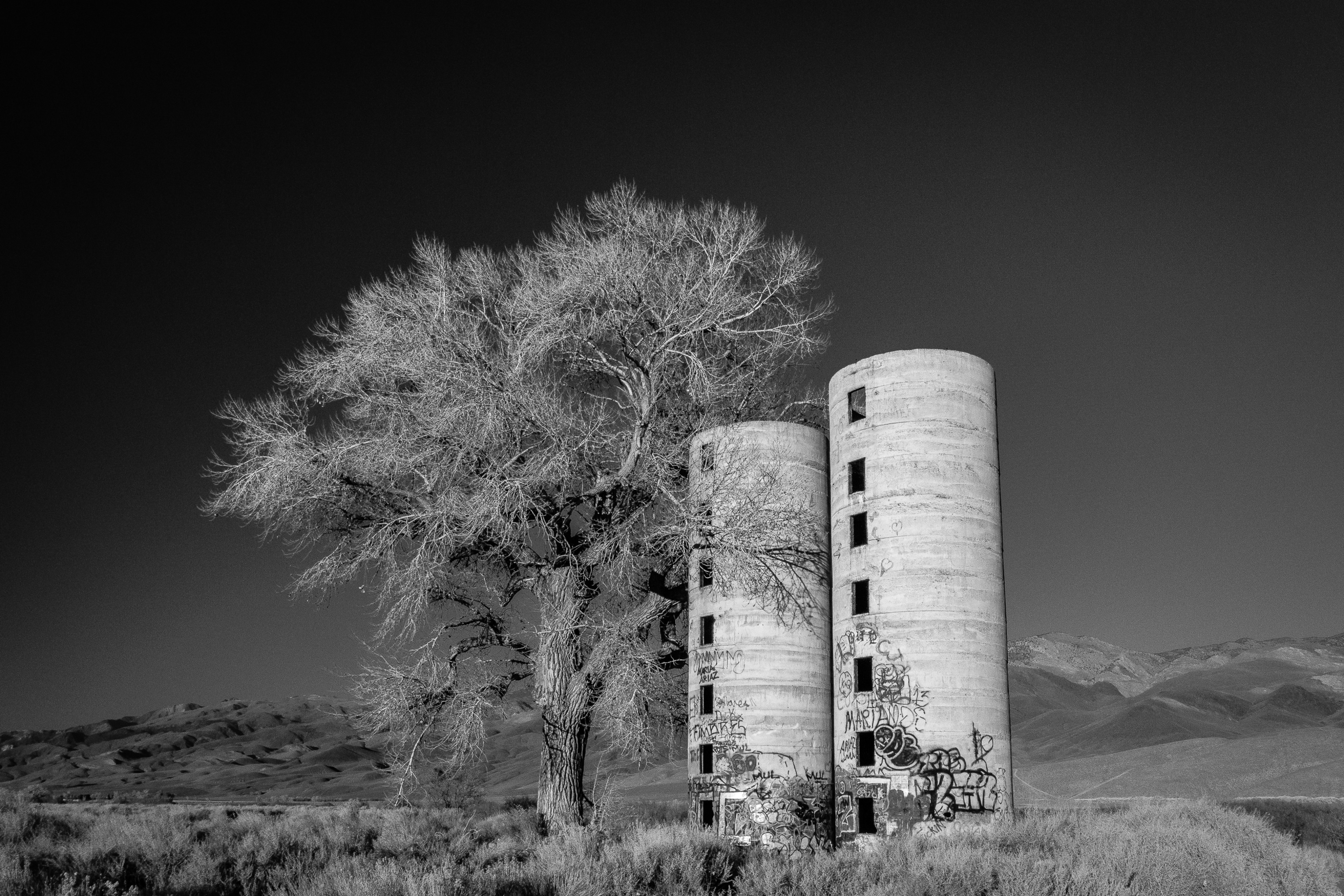 Diametric Landscape | Bishop, CA | Ranch Structures