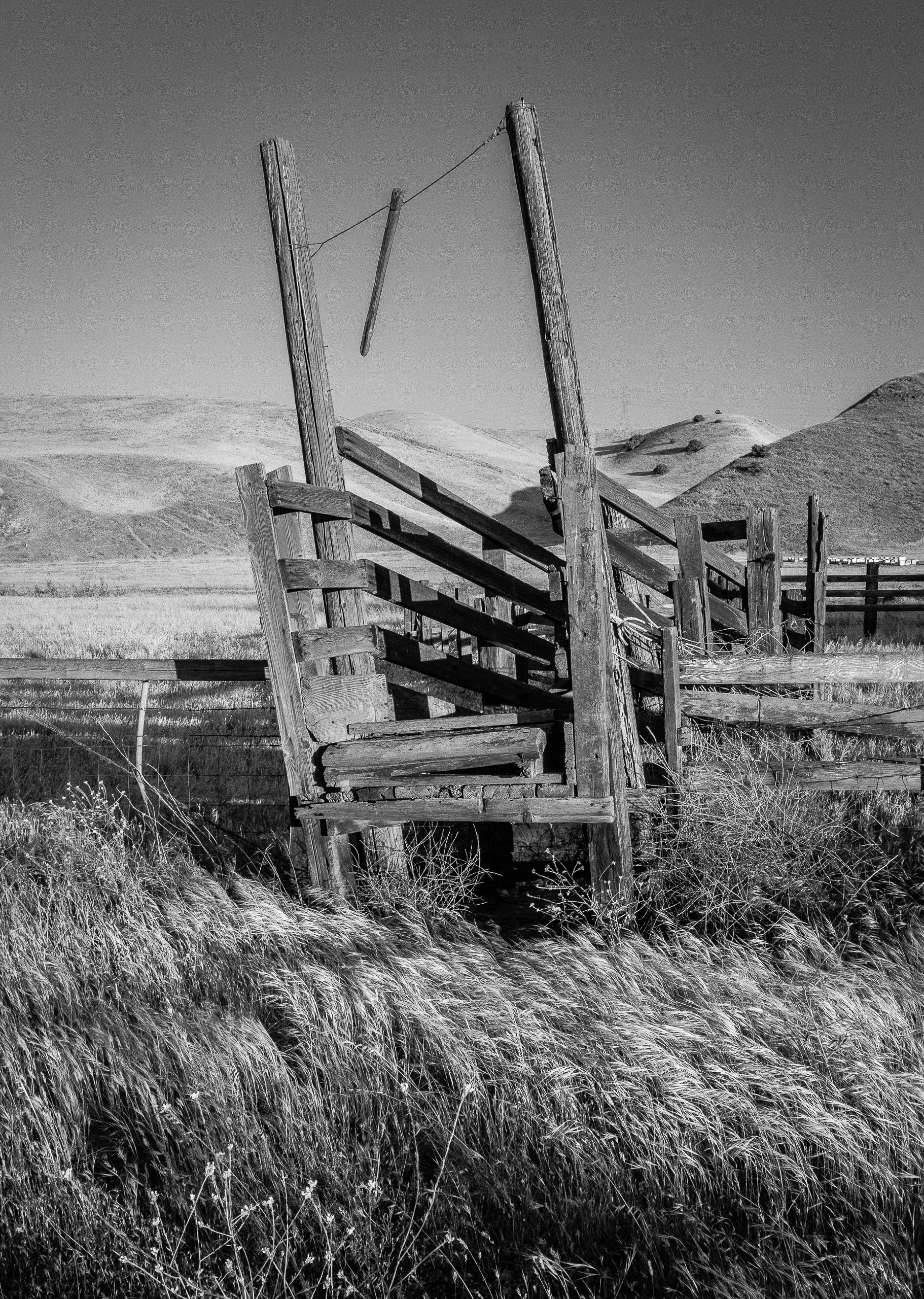 Tilted Cattle Chute | San Joaquin County, CA | Ranch Structures