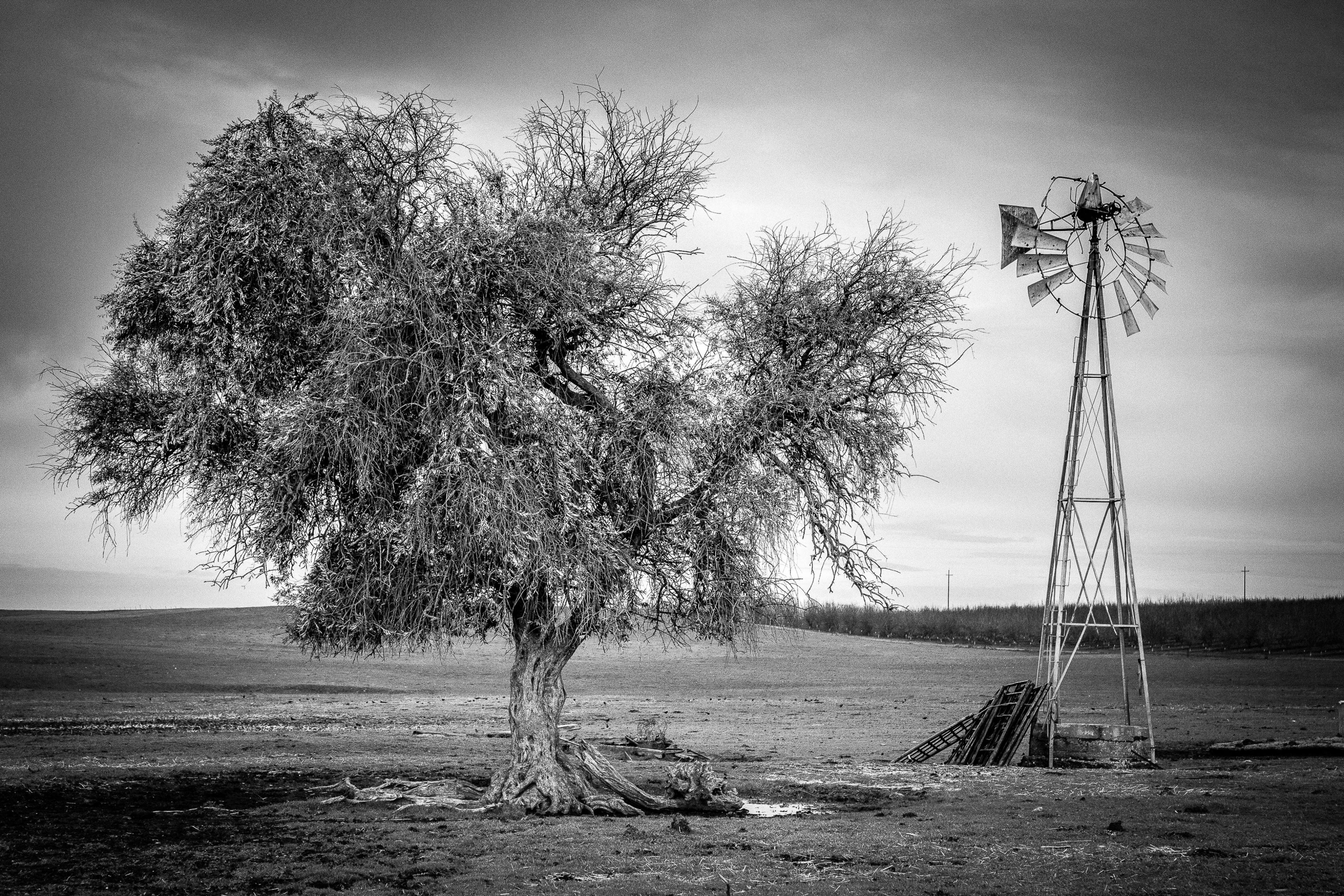 Two Left Standing | Stanislaus County, CA | Ranch Structures