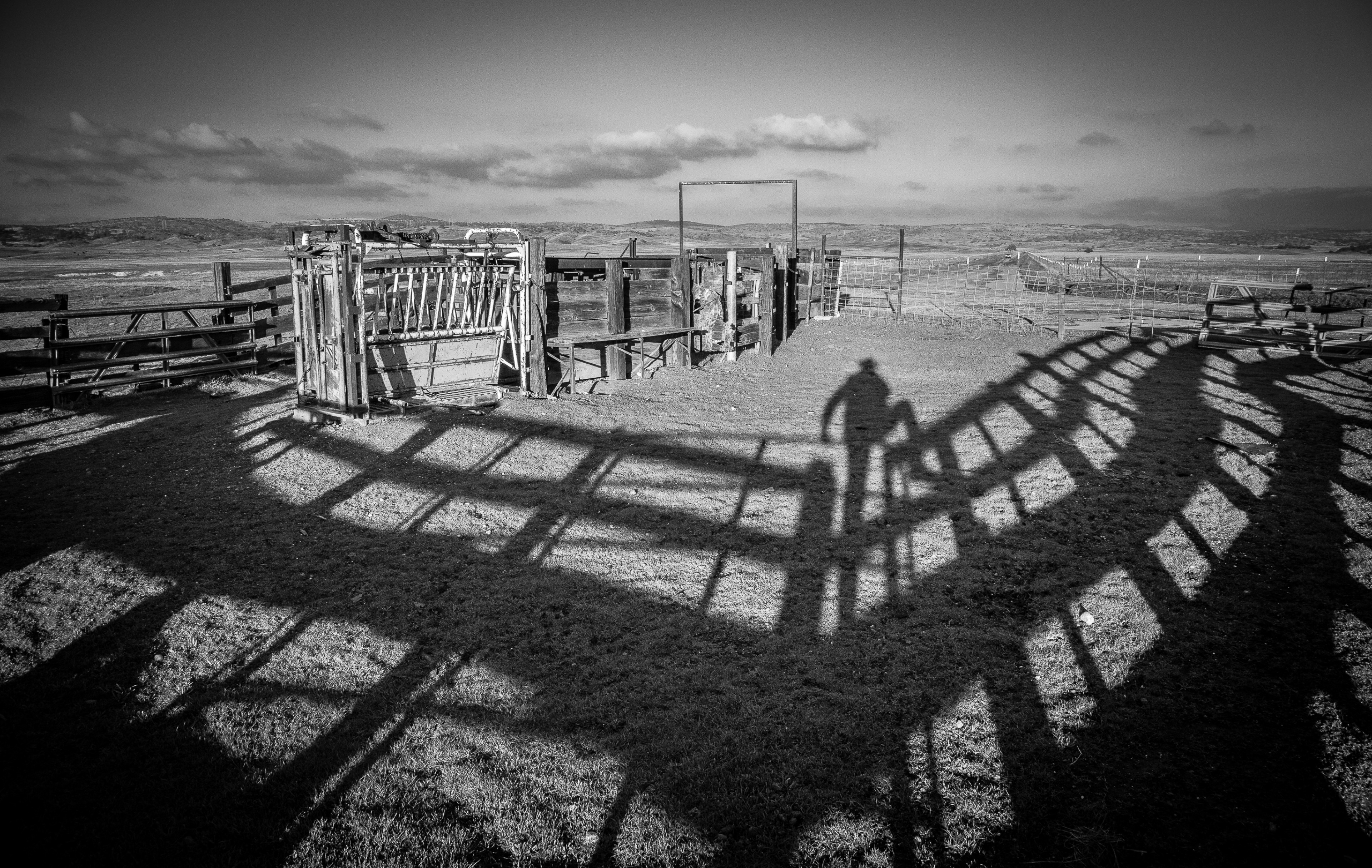 Murray's Squeeze Chute | Stanislaus County, CA | Ranch Structures