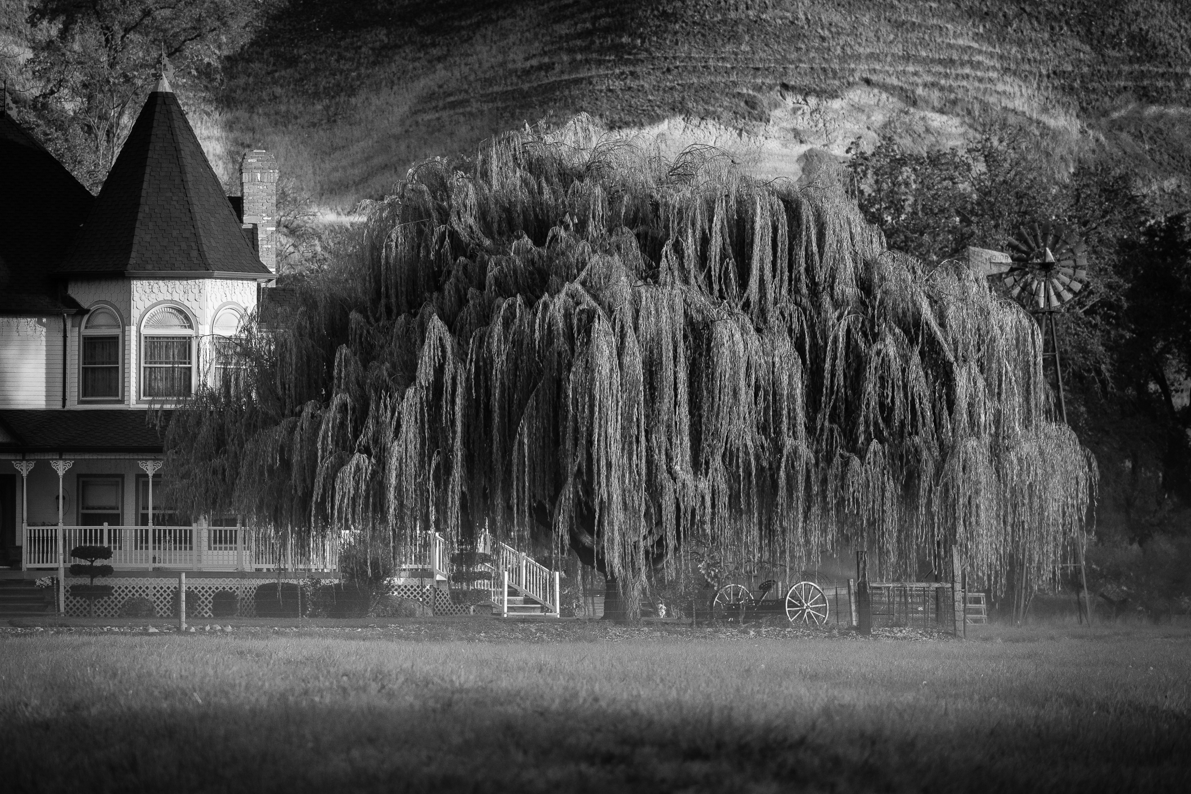 Rebecca's Willow | Oakdale, CA | Ranch Structures/Houses