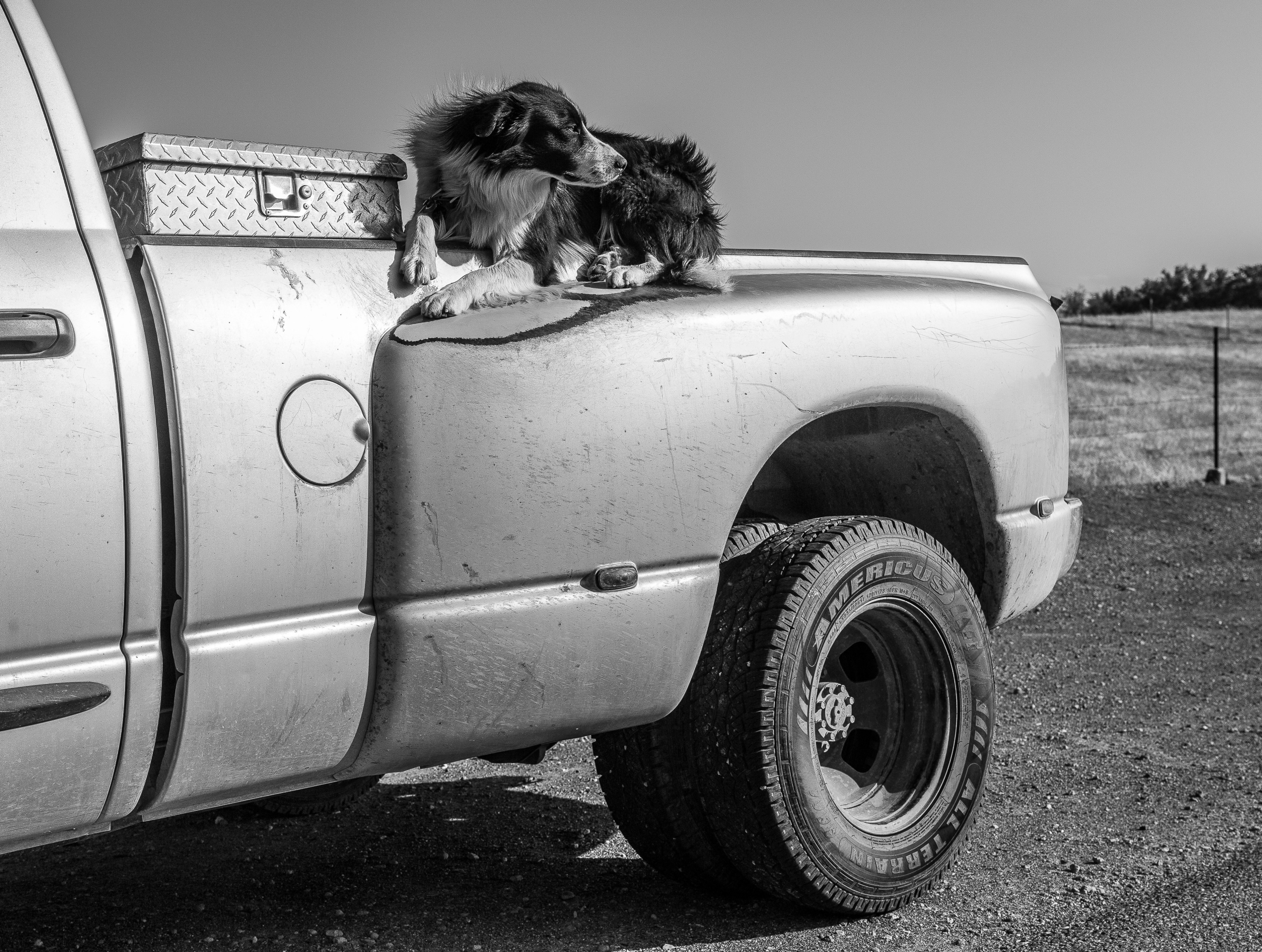 RANCH HANDS #562