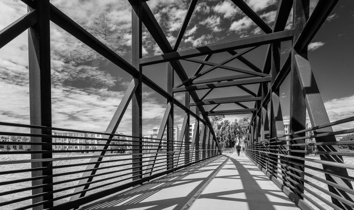 Bridge Over Guadelupe | San Jose, CA | The Riverview Project/Canvas Interior Design