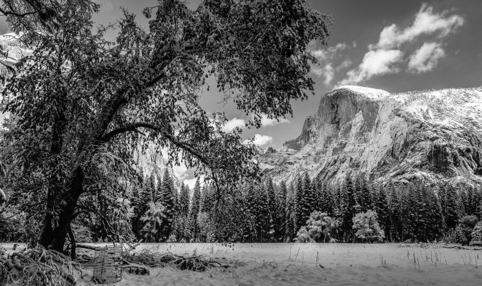 Leaning Forward | Half Dome/Yosemite Valley, CA | Yosemite Portfolio