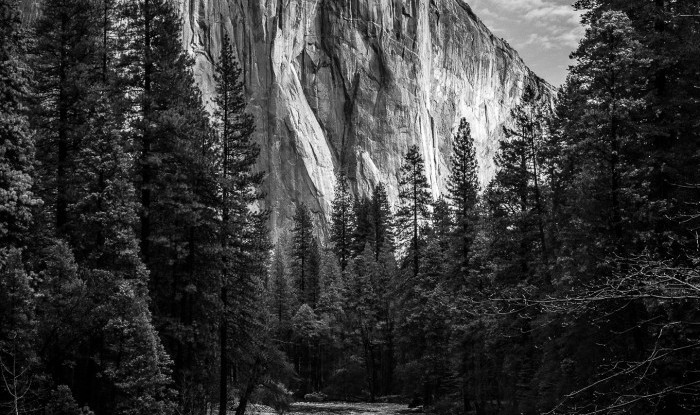 Textures Of Grandeur | El Capitan/Merced River/Yosemite Valley, CA | Yosemite Portfolio