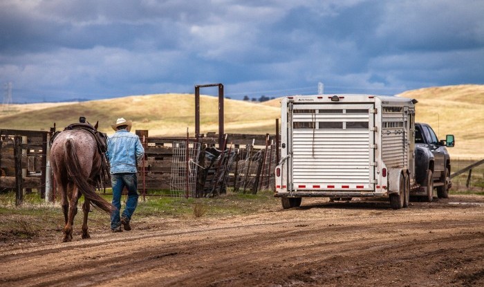 Another Job Done | Stanislaus County, CA | Ranch Hands/Working Ranch