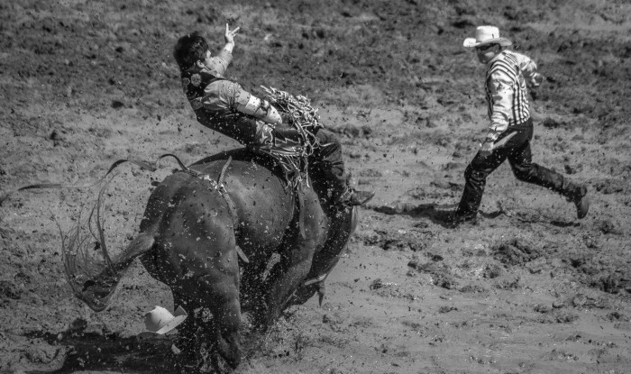 Curled Over | Oakdale, CA | Ranch Hands/Rodeo