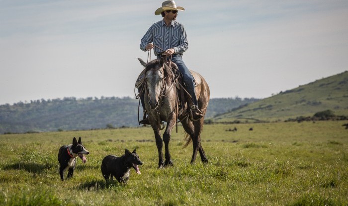 Power Of Two | Stanislaus County, CA | Ranch Hands/Working Ranch