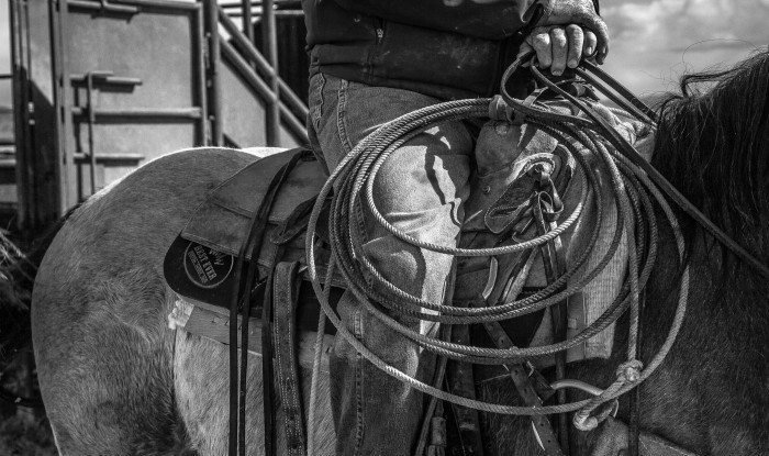Ranch Hands | Stanislaus County, CA | Ranch Hands/Working Ranch