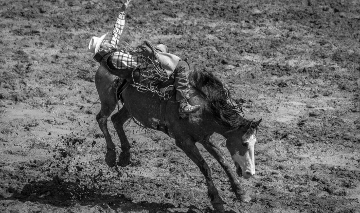 Reaching For That Buckle | Oakdale, CA | Ranch Hands/Rodeo