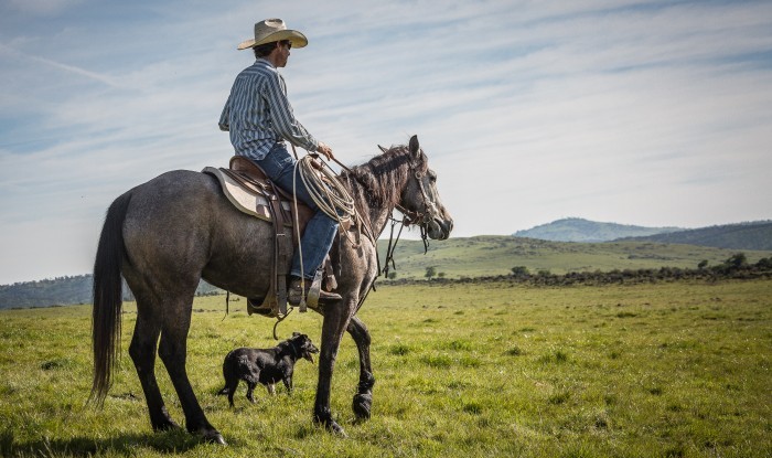 Ready For The Round Up | Stanislaus County, CA | Ranch Hands/Working Ranch