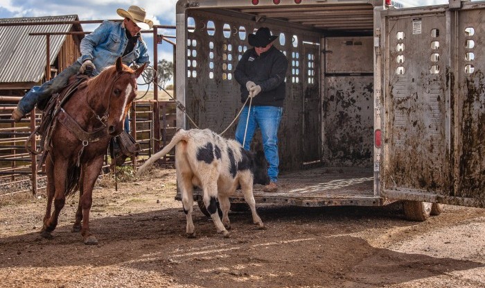 Two Hands Together | Stanislaus County, CA | Ranch Hands/Working Ranch