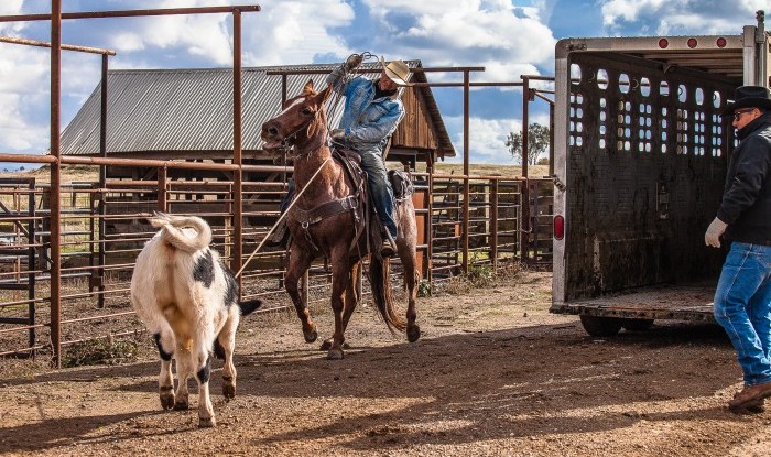 You Ain't Goin' Anywhere | Stanislaus County, CA | Ranch Hands/Working Ranch