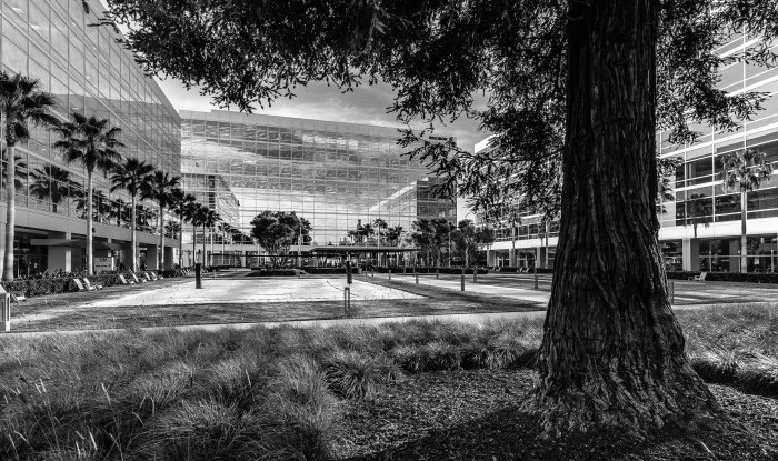 A View From The Drip Line | San Jose, CA | The Riverview Project/Canvas Interior Design