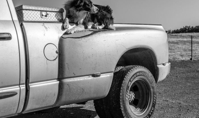 RANCH HANDS #562
