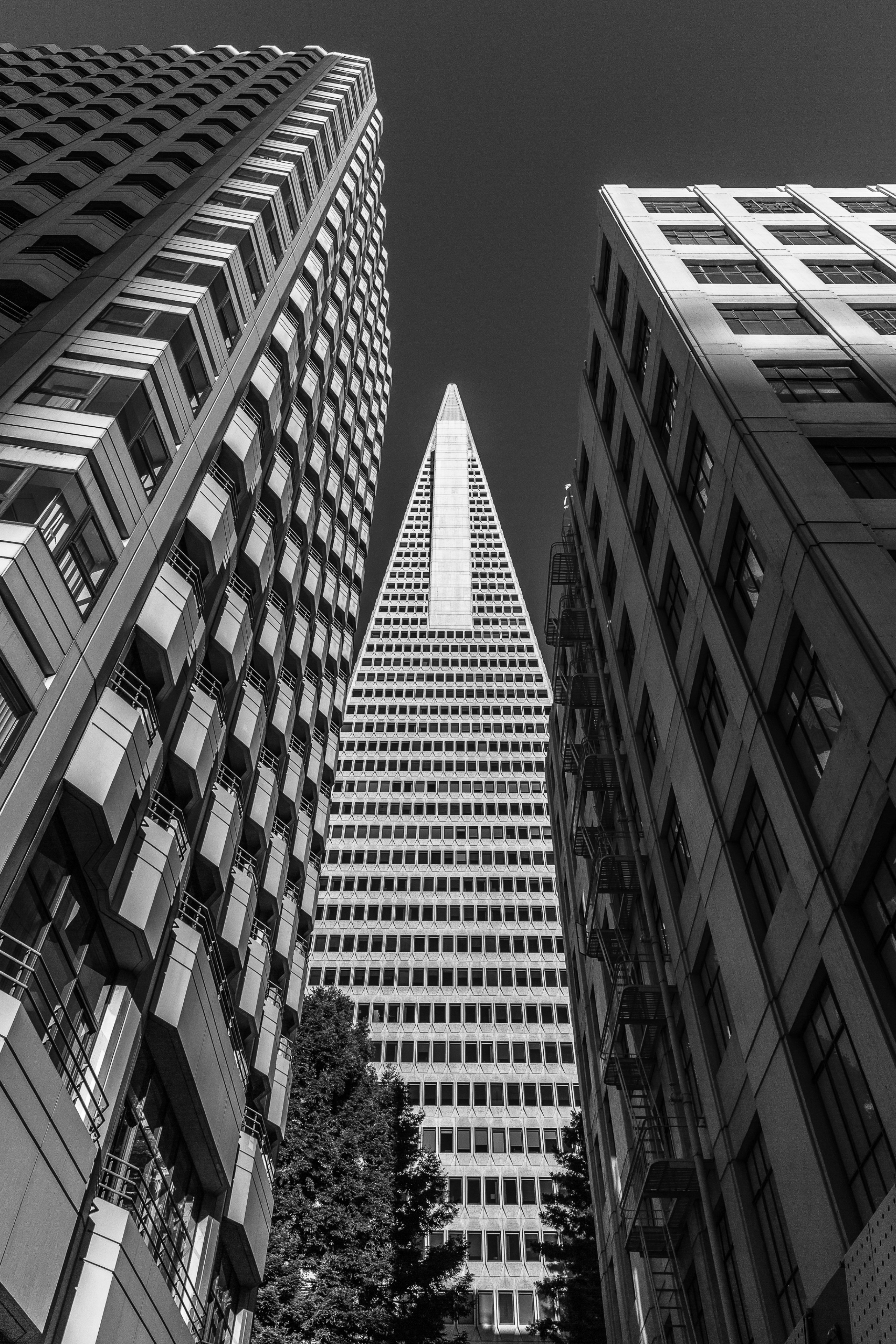 Three Point Perspective | San Francisco, CA | San Francisco and Oakland Architecture