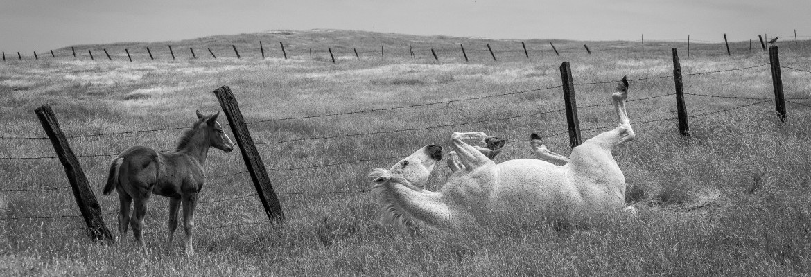 2019 Black & White Magazine Single Image Awards